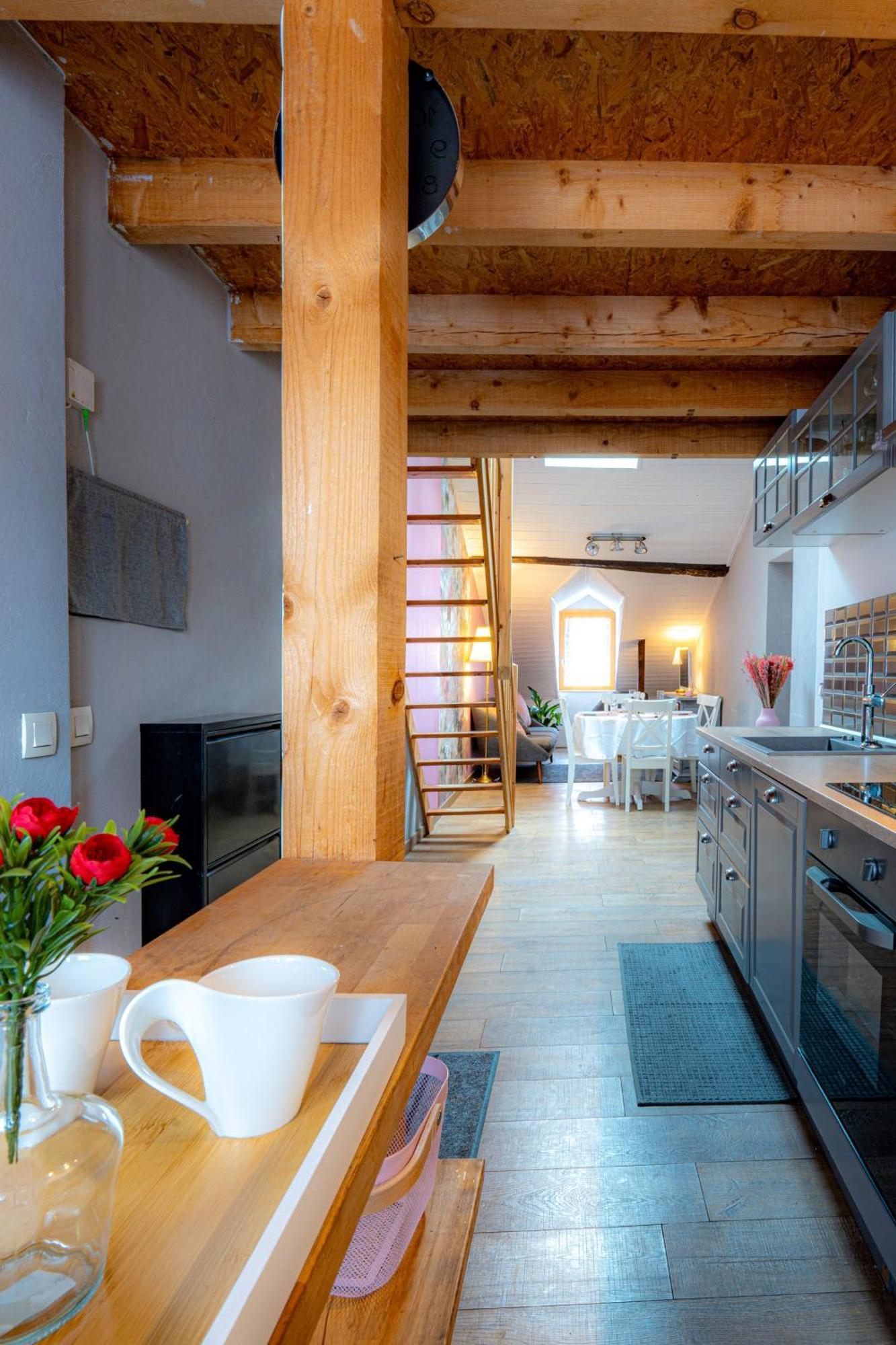 La Cachette Historique 3 Chambres Chambéry Kültér fotó